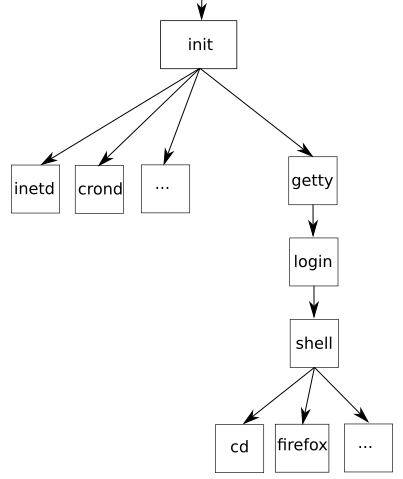 arbre des processus
